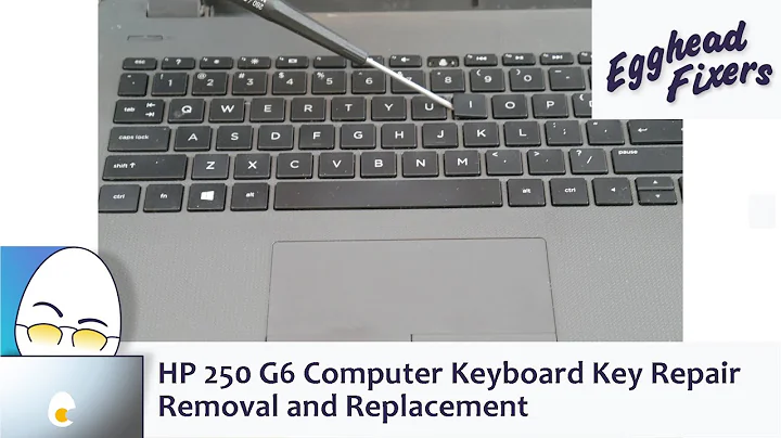 HP 250 G6 Computer Keyboard Key Repair - Removal and Replacement