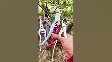 Cạp Tròn Cạp Xéo MST Tạo Sẹo Cho Bon Sai Cây Cảnh Hàng Thép Đúc Trắng 304 Nguyên Khối