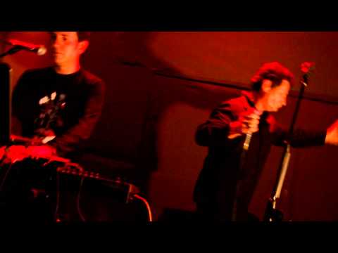 Συνθετικοί - Ανθρώπινες