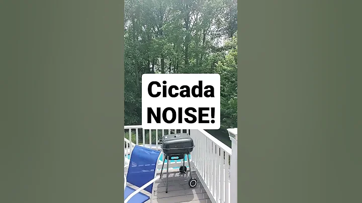 Backyard Cicada Noise 🔴 Maryland 2021 Cicadas Sound #shorts What Does a Cicada Sound Like? - DayDayNews