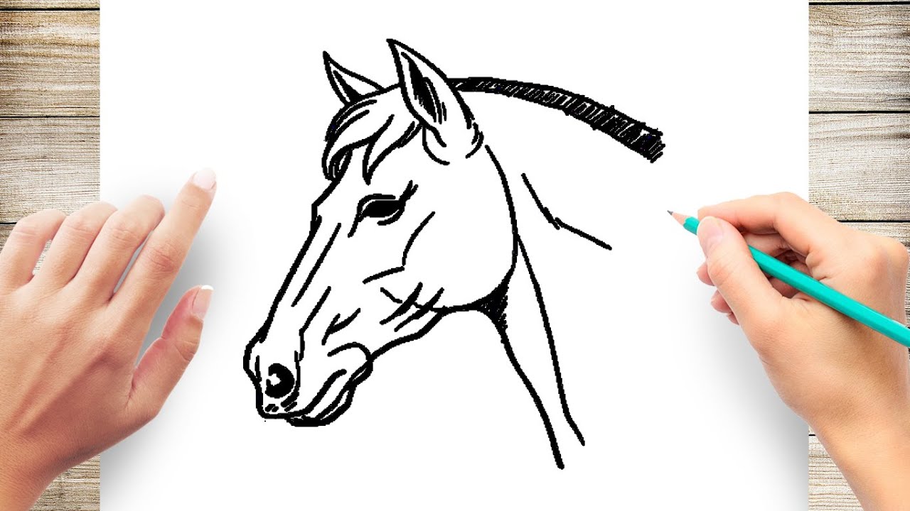 how to draw a horse head step by step for kids