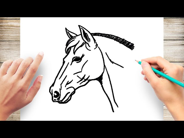 1,000+ Horse Head Line Drawings Stock Illustrations, Royalty-Free Vector  Graphics & Clip Art - iStock