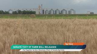 Farm Bill 2.0 : le Sénat propose une loi agricole conçue pour ceux qui nourrissent l'Amérique