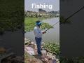 Fishing (Fresh Catch of the Day) #Fishing #shorts #viralshort #trending
