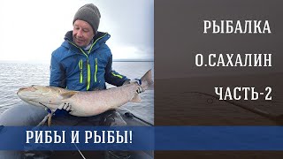 Первые трофеи!