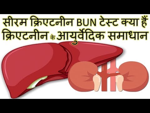 Bun Test in hindi क्रिएटिनिन क्या होता है और इसकी मात्रा रक्त में कब बढ़ जाती है?