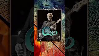 Song for You - Chicago (1980) #music#shorts#video#lyrics#song#best#album#chicagoXIV#songforyou#80s