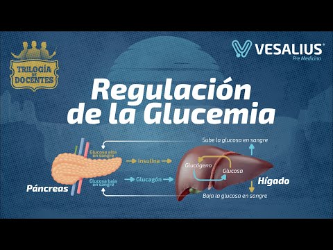 Video: ¿Dónde se almacena el exceso de glucosa como glucógeno en el cuerpo?