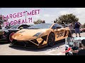Dde at cars and coffee  oc cars and coffee