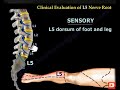 NERVE INJURIES OF THE LOWER EXTREMITY. Foot drop, tarsal tunnel syndrome and Morton&#39;s neuroma.