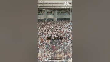 محمد خليل القارئ | آيات الحج | سورة البقرة (197-203)