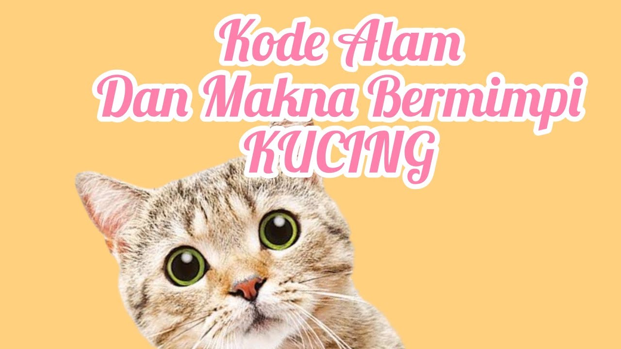 ♔ Arti mimpi kucing melahirkan togel