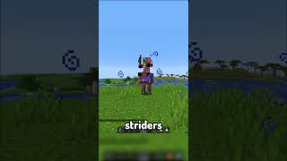 El ítem inútil más útil #minecraft #legend54 #util #items