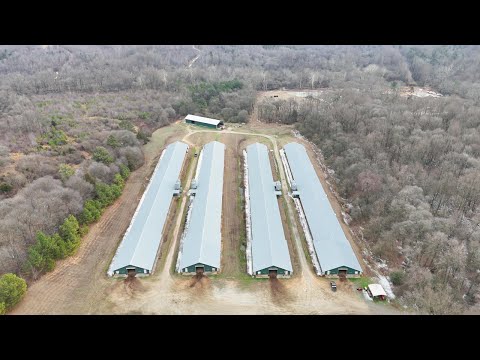 SOLD – Four (4) 50’ x 500’  in Lavonia, Georgia