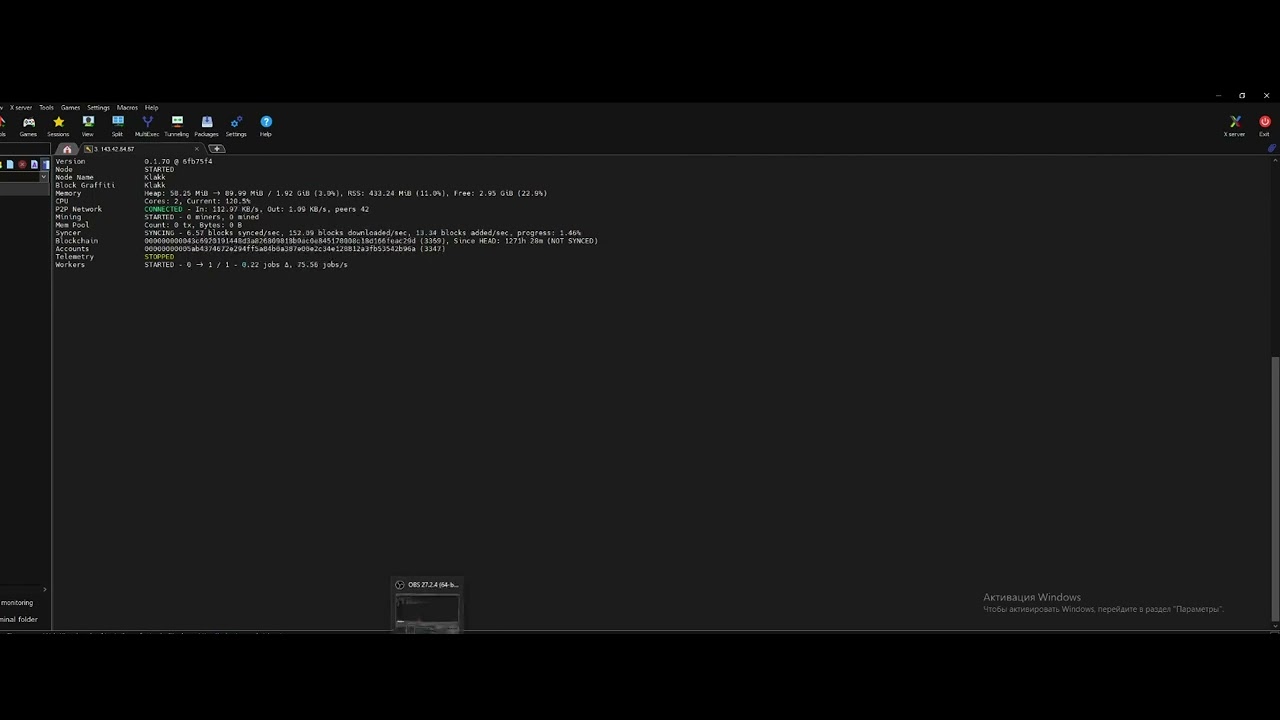 Step-by-step tutorial for Iron Fish Node setup