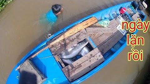 Một Ngày Thả Câu Dính Con Nào Cũng Mò/Định Nguyễn Hậu Giang