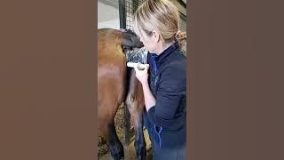 Breeding Demonstration