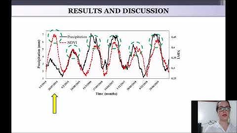 Analysis of temporal responses of NDVI to precipitation using Google Earth Engine: rice growing area