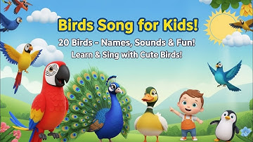 🕊️ 20 Birds Song for Toddlers | Learn Bird Names & Sounds | Fun Educational Song for Kids@cute@birds