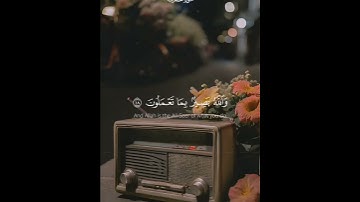 تلاوه خاشعه للشيخ محمد صديق المنشاوي رحمه الله #تلاوات_خاشعة #القرآن_الكريم #اكسبلور #قران_كريم