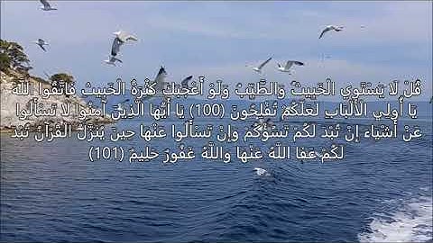 تلاوة رائعة ونادرة لآيات من سورة المائدة