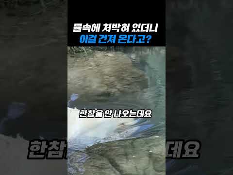 물속에 처박혀 있더니 이걸 건져 온다고？ thumbnail