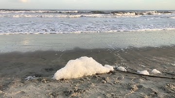 Slow Motion Sea Foam #SLOmOCEAN