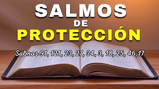 Salmos de Protección | Biblia Hablada | 3 HRS