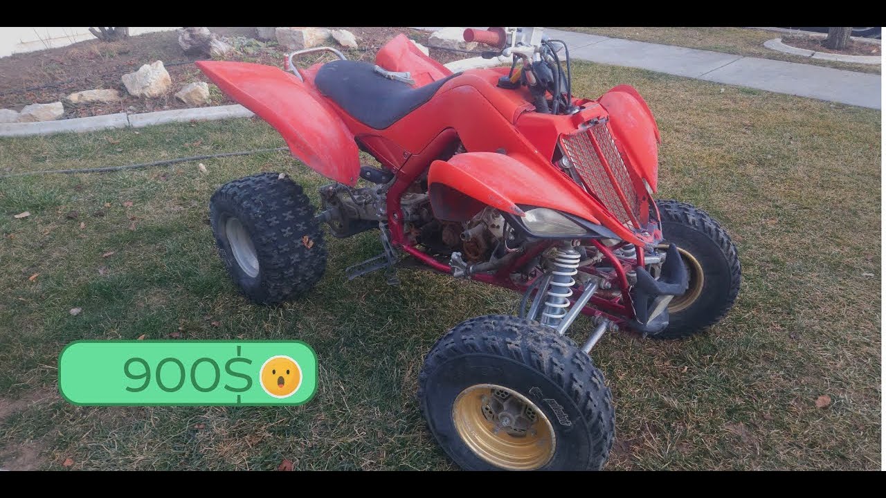 I Just Bought A Raptor 700!