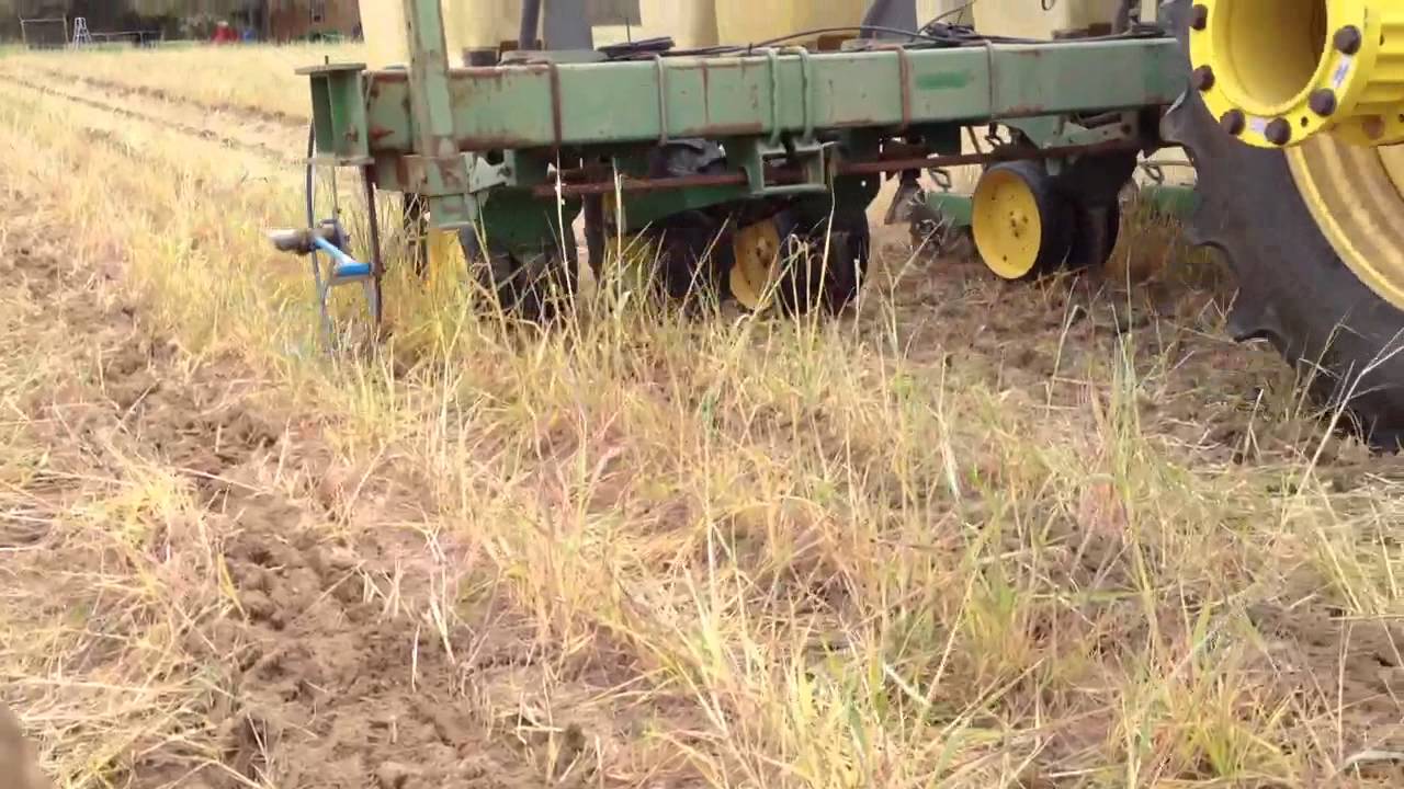 Strip till corn planting YouTube