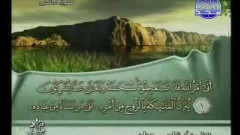 فارس عباد سورة النحل 16