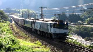2009/8/23 中央西線81レ、EF64-1000大宮更新色+原色重連