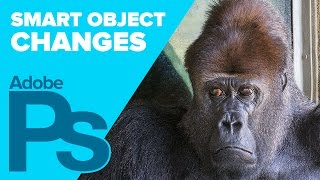 Smart Object Support in Photoshop CS6 13.1