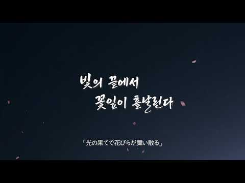 이것이 한국의 전통 축제 연등회! 직접 보면 말문이 막혀요 「これが韓国の伝統行事“燃灯会”！現地で見たら言葉が出ない」
