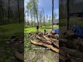 Woodchopping Chubbalub