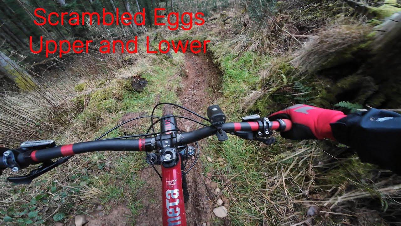 AE Forest Scrambled Eggs Full Trail 2026