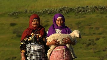 Morroco: The Two-Sheep Solution