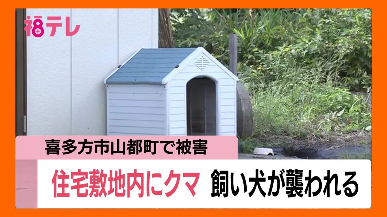 売れたらクマが喜ぶ出品 売れたらクマが喜ぶ出品 X（旧Twitter）で話題のおもしろ画像や