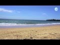 99 Penguin Head Road, Culburra Beach