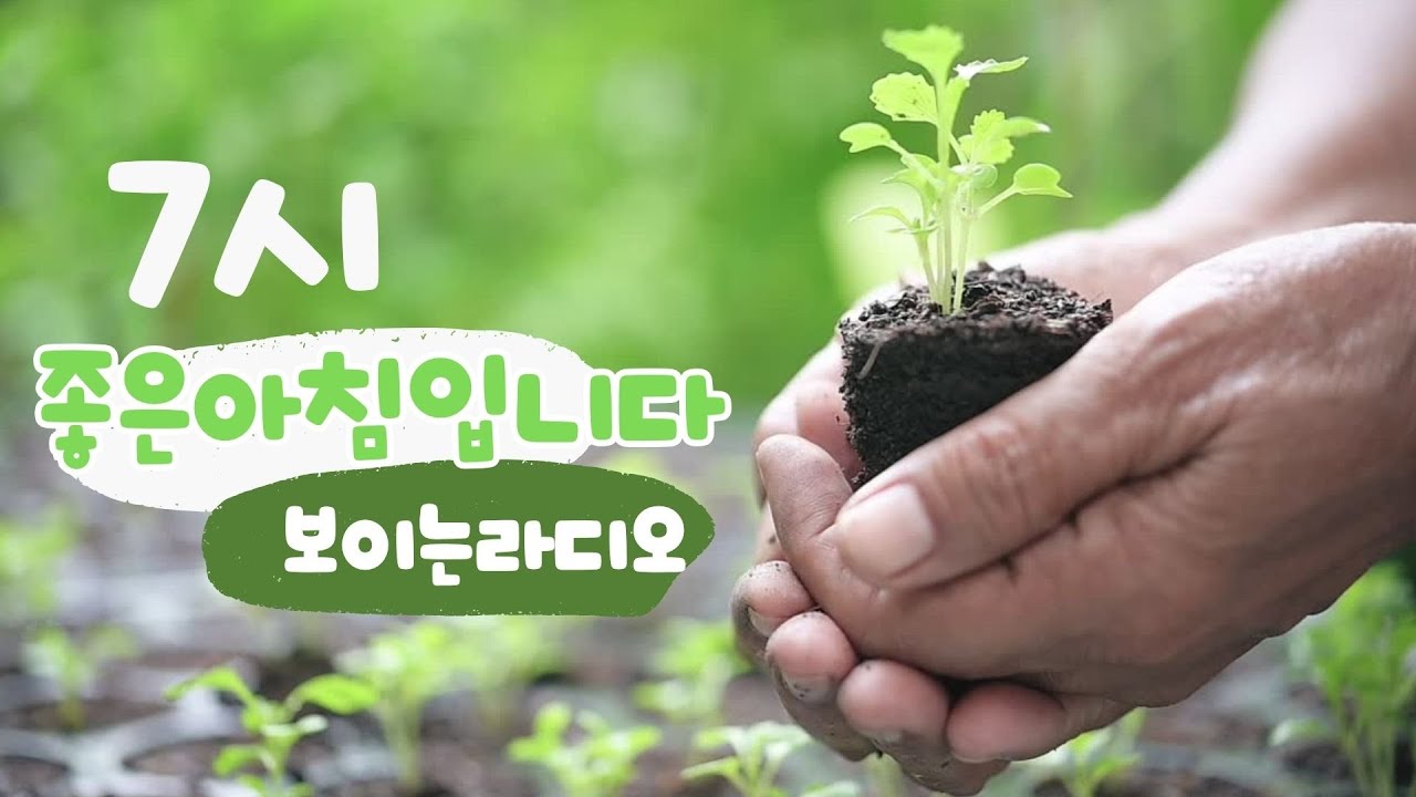 [보이는라디오] 260223 월 좋은아침입니다