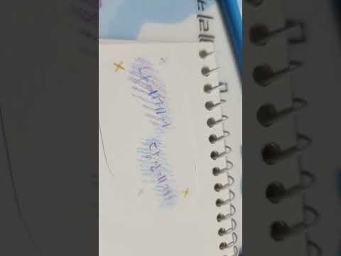제발이번에는 제엡발