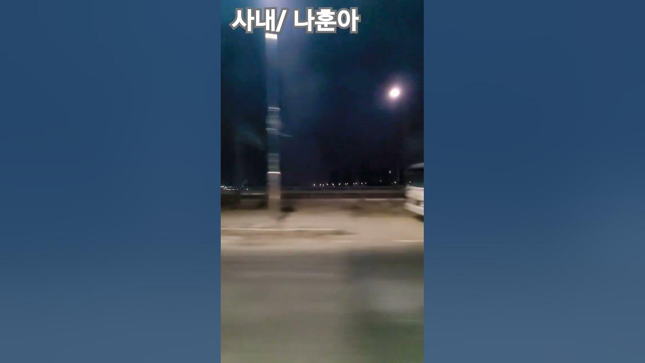 사내/ 나훈아 #maxoncon #나훈아 #나훈아뮤직 사내/ 나훈아 #maxoncon #나훈아 #나훈아뮤직