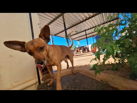 IMAGEM MAIS LINDA E SATISFATÓRIA QUE VOCÊ VAI VER HOJE !