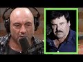 Joe Rogan - Were El Chapo's Arrests Staged?