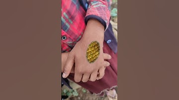 इच्छाधारी नागिन माँ बेटी की कहानी 🐍#shorts #nagin #snake #youtubeshorts #mahadev #viral