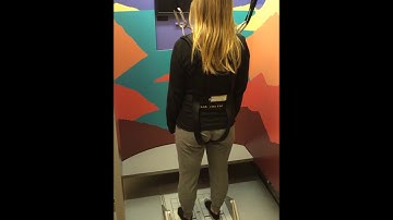 Limit Cycle Oscillation