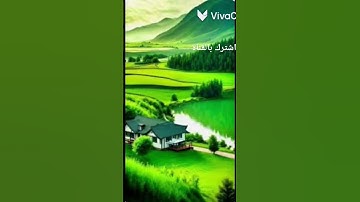 من أجمل الأصوات التي قد تسمعها القارئ أحمد جمال