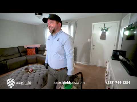 Pests Outwitted The Unstoppable Power Of Ecoshield