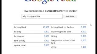 asking google for advice for goldfish #fyp #novakboii #googlefeud #twi, google  feud