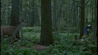 Scot Ruggles - Dunkin Donuts Commercial